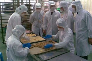 食品安全，我们怕的是什么——探秘食品加工中的隐忧