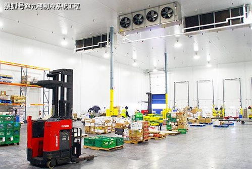 冷冻方法在食品加工中的温度控制技术研究