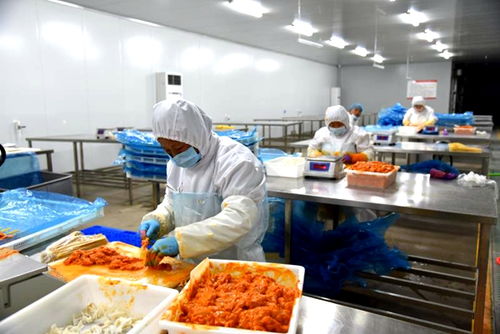 肉块块串出金串串——阳高县均田村速冻调制食品加工扶贫车间见闻