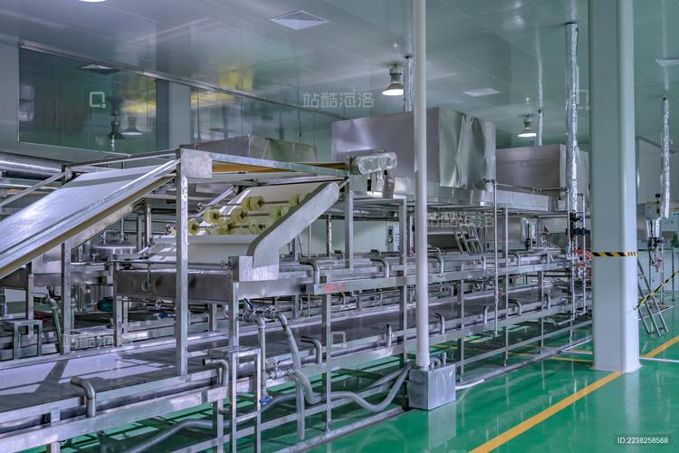 不锈钢生产线 食品加工企业的安全与效率基石