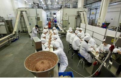 食品生产经营有效期与食品加工详解